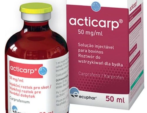 ACTICARP 50 mg/ml