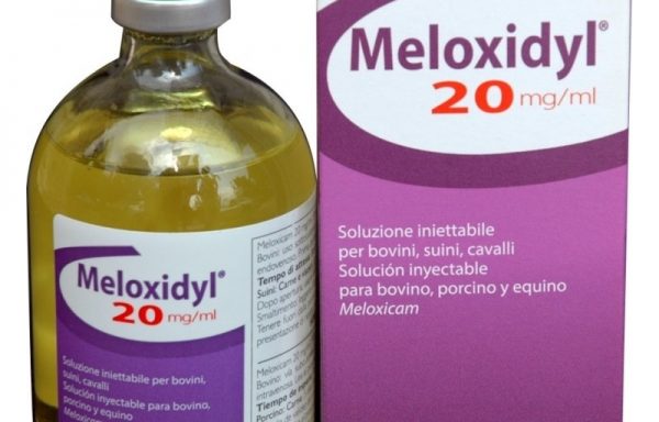 MELOXIDYL 20 mg/ml, injekcinis tirpalas galvijams, kiaulėms ir arkliams, 100 ml