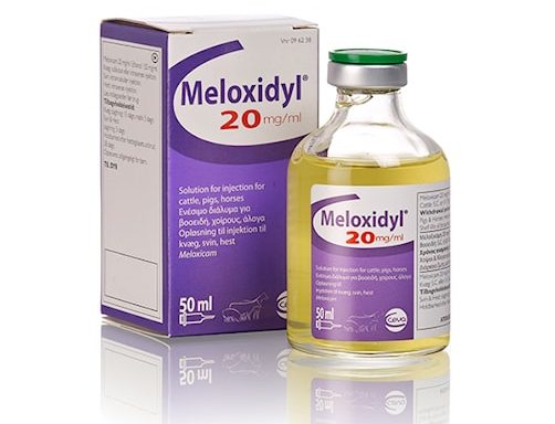 MELOXIDYL 20 mg/ml, injekcinis tirpalas galvijams, kiaulėms ir arkliams, 50 ml