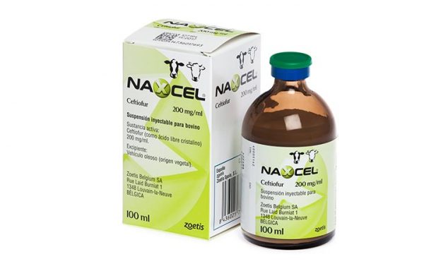 NAXCEL 200 mg/ml, injekcinė suspensija galvijams