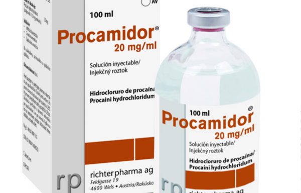 PROCAMIDOR 20 mg/ml injekcinis tirpalas