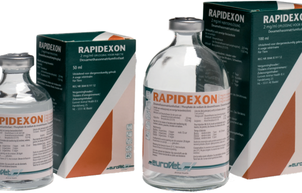 RAPIDEXON 2 mg/ml injekcinis tirpalas