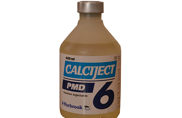 CALCIJECT PMD(6), injekcinis tirpalas