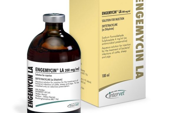 ENGEMYCIN, 100 mg/ml injekcinis tirpalas