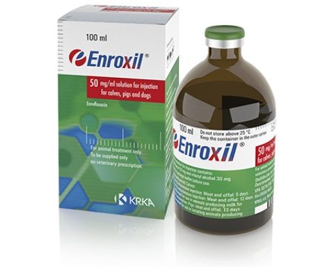 ENROXIL 50 mg/ml, injekcinis tirpalas