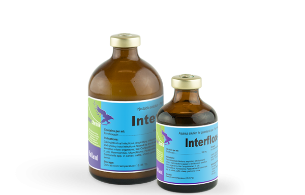 INTERFLOX-100, 100 mg/ml injekcinis tirpalas galvijams, avims, ožkoms ir kiaulėms