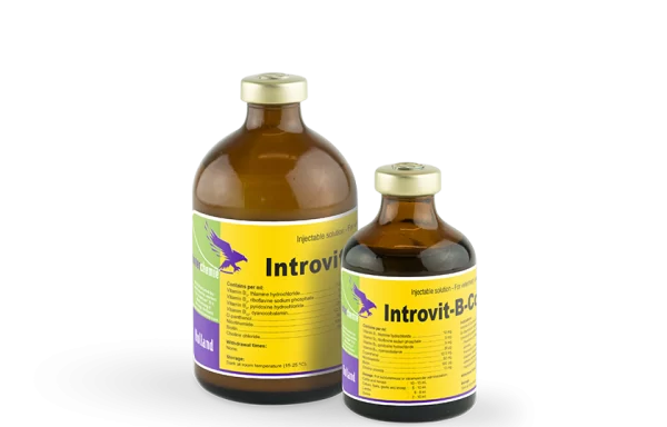 INTROVIT-B-COMPLEX, injekcinis tirpalas