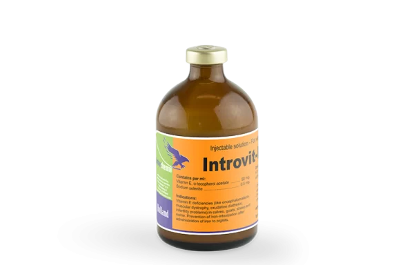 INTROVIT-E-SELEN, injekcinis tirpalas