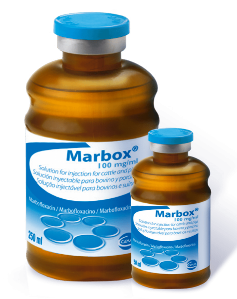 MARBOX 100 mg